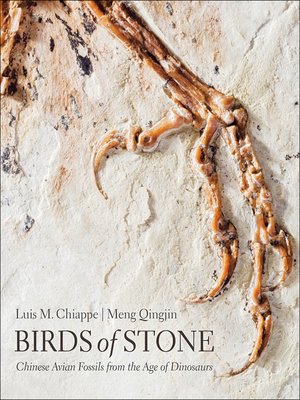 cover image of Birds of Stone